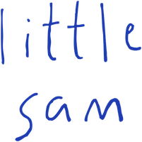 Little Sam
